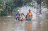Freak rains cause distress to  farmers in W ghats